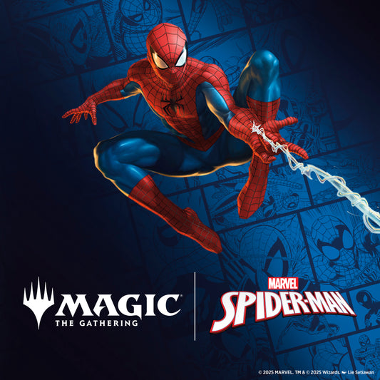Entrada Presentación SPIDERMAN