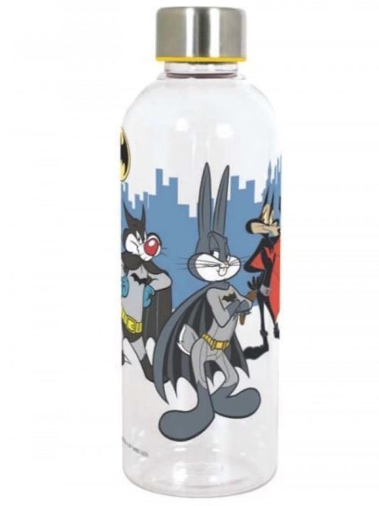 Botella de Warner Bros 500 ml